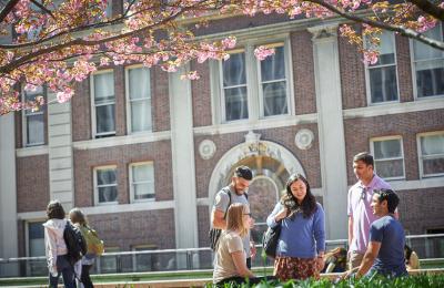 Students on Revson Plaza under cherry trees