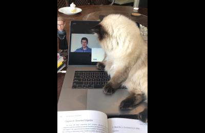 Erin M. Callahan's cat Rigby paws at a computer screen showing a Zoom lecture