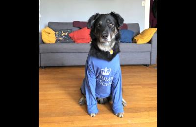 Madeline Hopper's dog TJ wears a Columbia sweatshirt