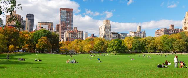 People sit on a green lawn in Central Park.