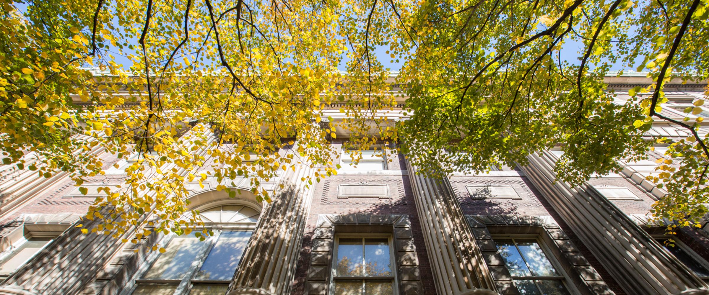 Application Process Columbia Law School Application Process Columbia Law School