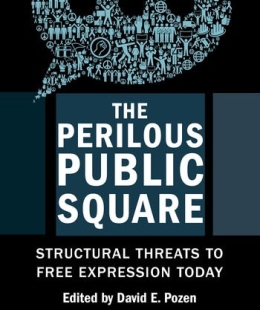 The Perilous Pubic Square book cover