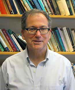Professor Charles Sabel