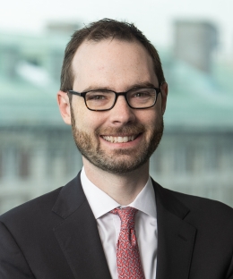 Professor Lev Menand