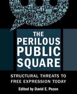 The Perilous Pubic Square book cover