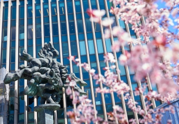 Cherry blossoms bloom in front of the Pegasus statue in front of Jerome Greene Hall.