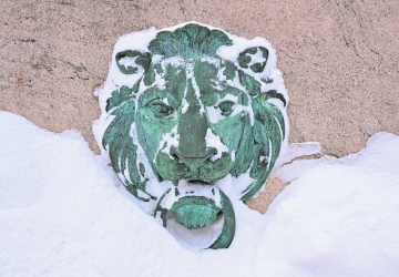 A campus architectural detail of a lion covered in snow