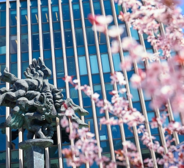 Cherry blossoms bloom in front of the Pegasus statue in front of Jerome Greene Hall.