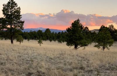 James Liebman’s 2019 Hike Along the Continental Divide Trail