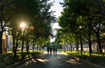 Students strolling through College Walk on campus