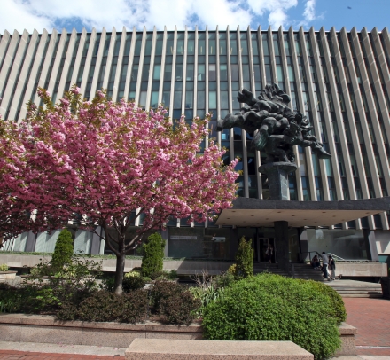 Blooming trees in front of large building and statue