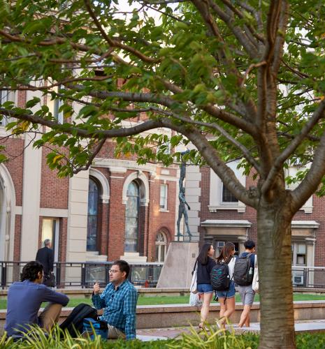 Students talking under cherry trees