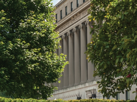 Ionic columns and trees in front of Butler Library