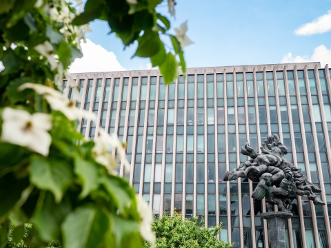 Flowers in bloom in front of Jerome Greene Hall