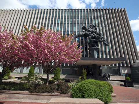 Blooming trees in front of large building and statue