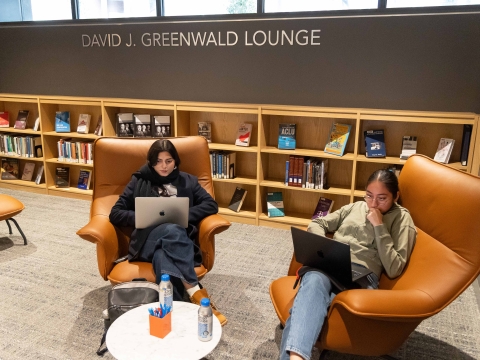 Two students on laptops study in the library's David J. Greenwald Lounge.