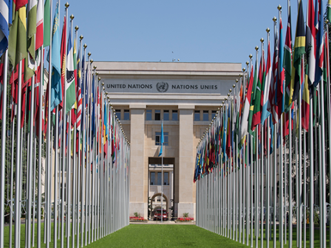 ungeneva-header.png