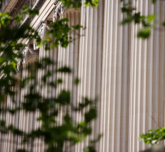 Fluted columns in from of Low Library