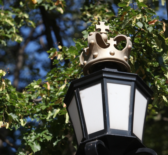 A lamp post with the Columbia crown on top in front of a linden tree