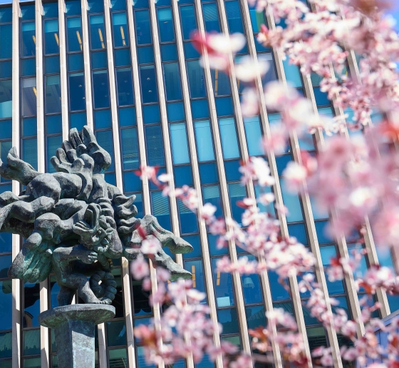 Cherry blossoms bloom in front of the Pegasus statue in front of Jerome Greene Hall.