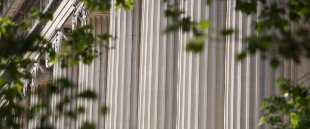 Green leaves in front of fluted columns on the Columbia University campus