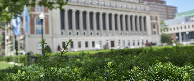 Butler library in the background with some green leaves in the foreground