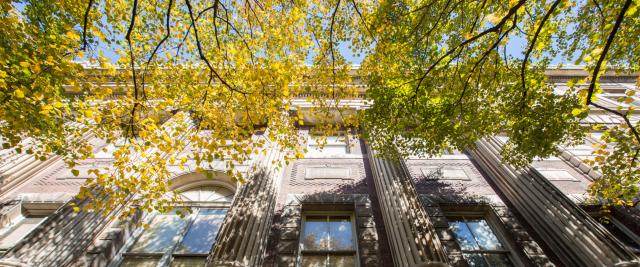 Leaves turn yellow in front of a campus building's fluted columns.