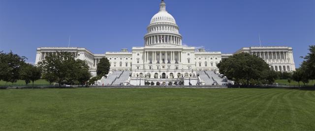 The Capitol building in Washington D.C. with lawn in front