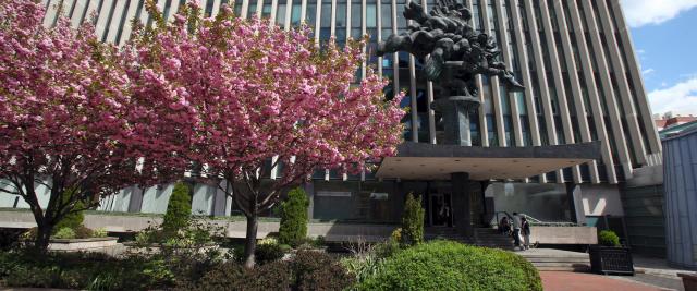 Cherry trees in bloom in front of Jerome Greene Hall
