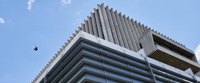 The corner of Jerome Greene Hall, looking up