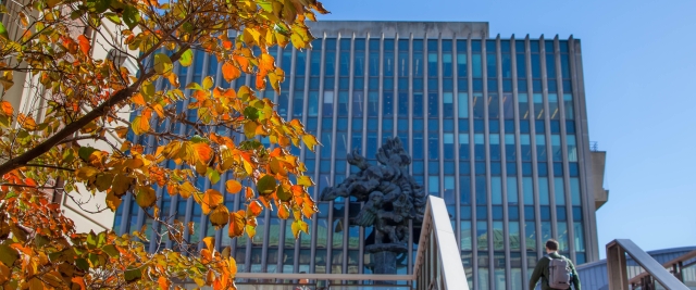 fall foliage outside of Jerome Greene Hall