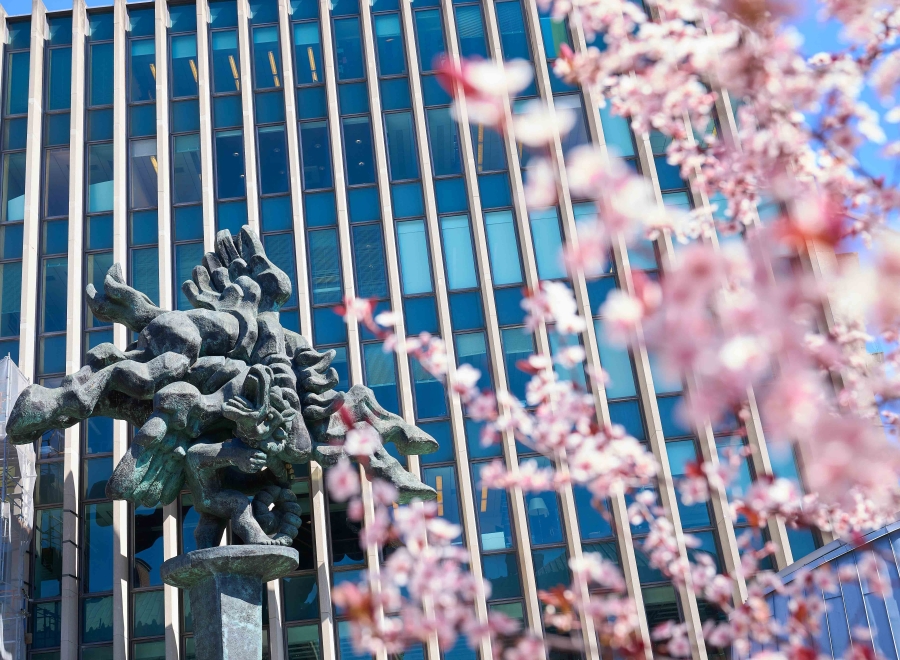 Cherry blossoms bloom in front of the Pegasus statue in front of Jerome Greene Hall.