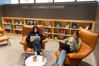 Two students on laptops study in the library's David J. Greenwald Lounge.