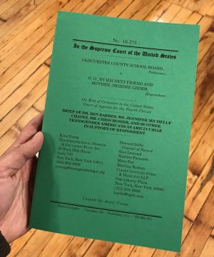 The amicus brief Young submitted to the U.S. Supreme Court in Gloucester County School Board v. G.G.