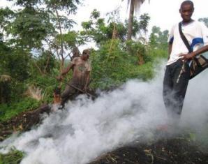 sao_tome_charcoal_making.jpg