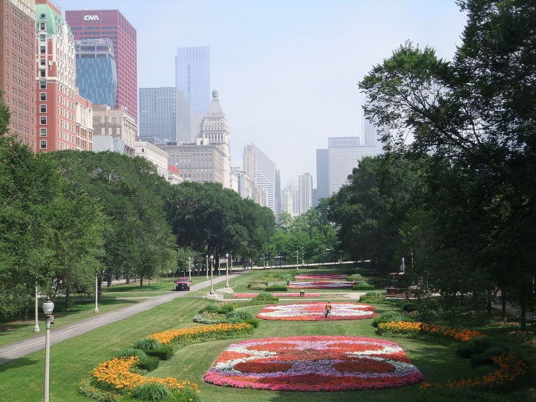 Flowers and trees in Chicago's Grant Park