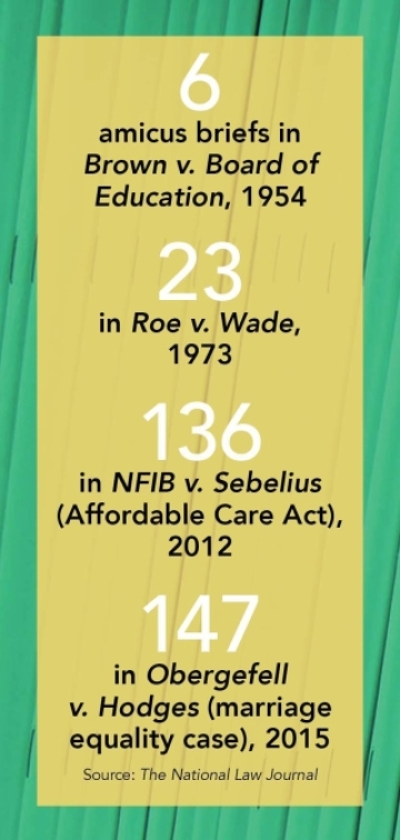 Amicus briefs stats in yellow box on green background