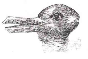 Black and white drawing of an optical illusion that can look like the head of a duck or a rabbit.